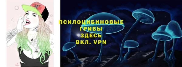 кокс Бородино