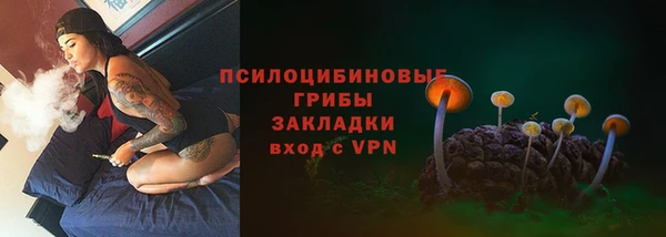 2c-b Бронницы