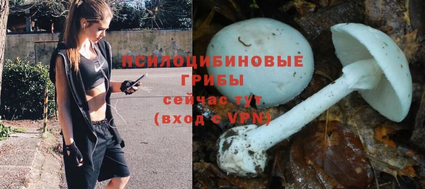 стафф Верхний Тагил