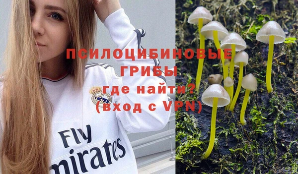 кокс Бородино