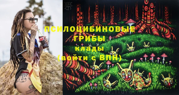 2c-b Бронницы